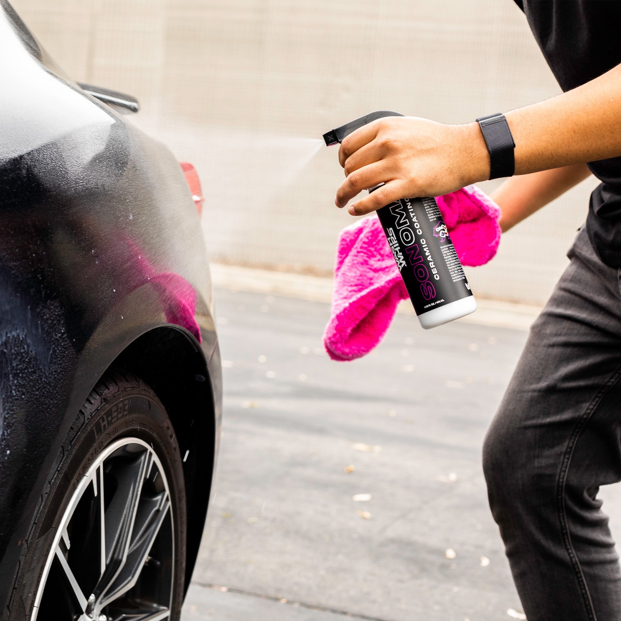 WASH&WHIPS Quick Detailing Pro Kit for Auto Detailing - 16-Piece Complete Car Care Set