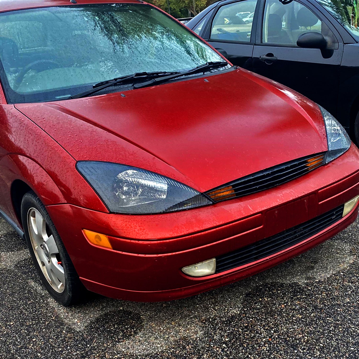 2000-2004 Ford Focus Factory Style Crystal Headlights Matte Black/Clear Lens