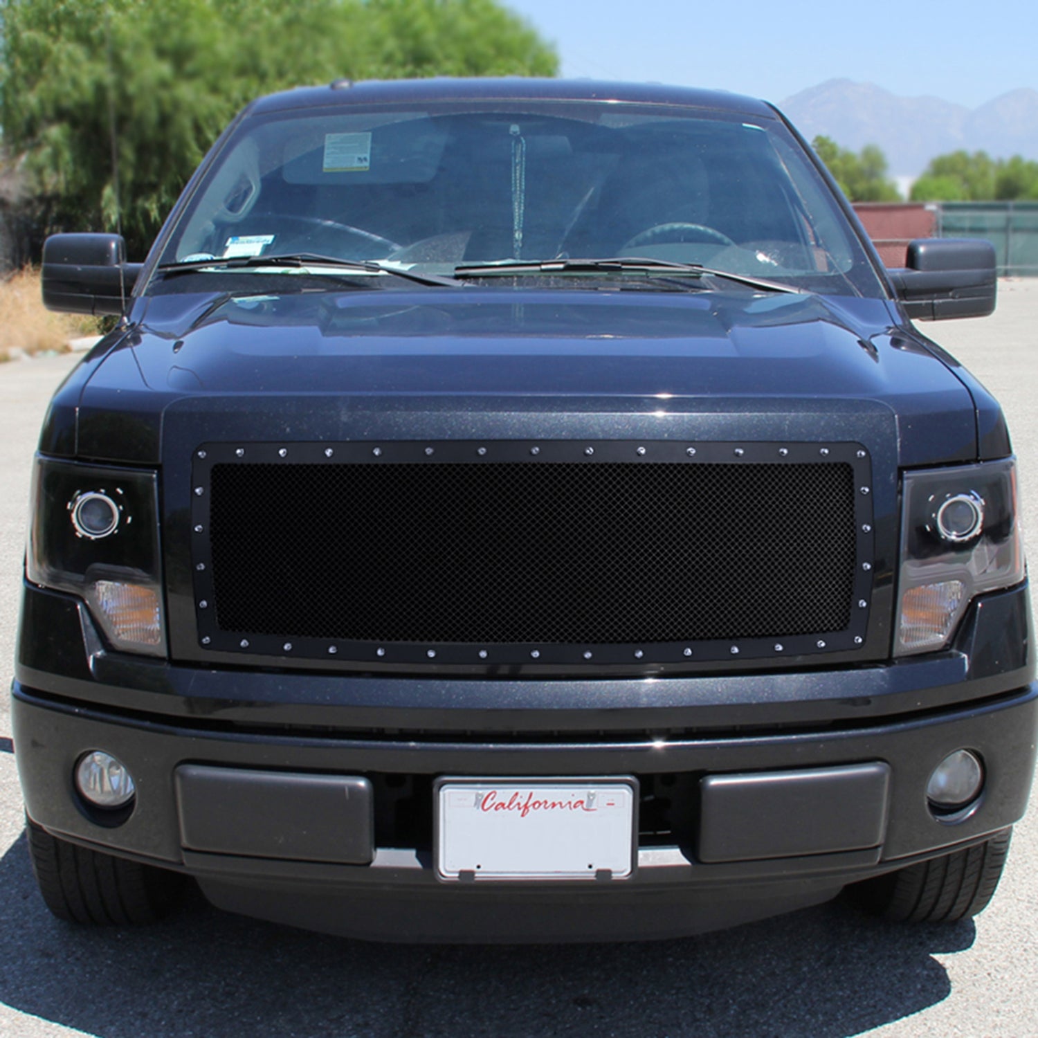 2009-2012 Ford F-150 Rivet Style Black S.Steel Mesh Grille Center Insert