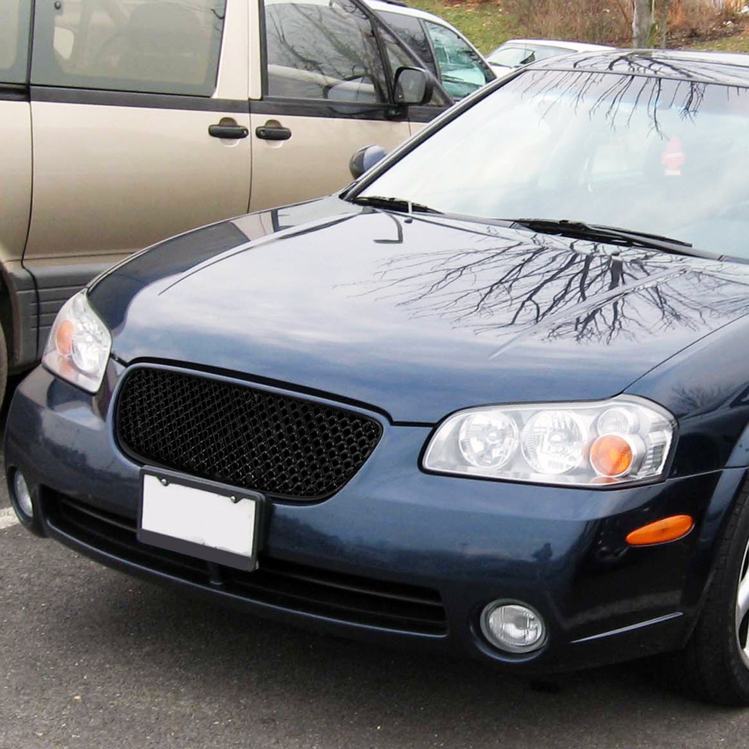 2002-2003 Nissan Maxima Glossy Black ABS Mesh Grille