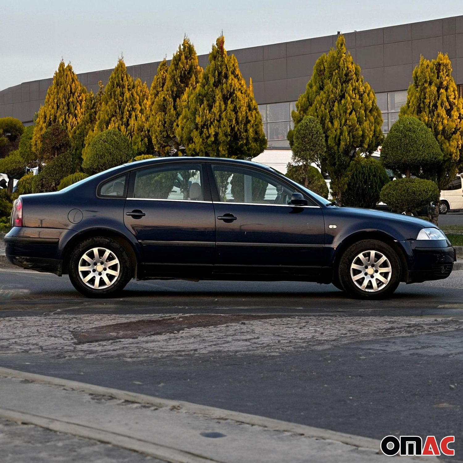 2002-2005 VW Passat B5.5 Window Molding Trim Streamer Stainless Steel Silver 4 Pcs