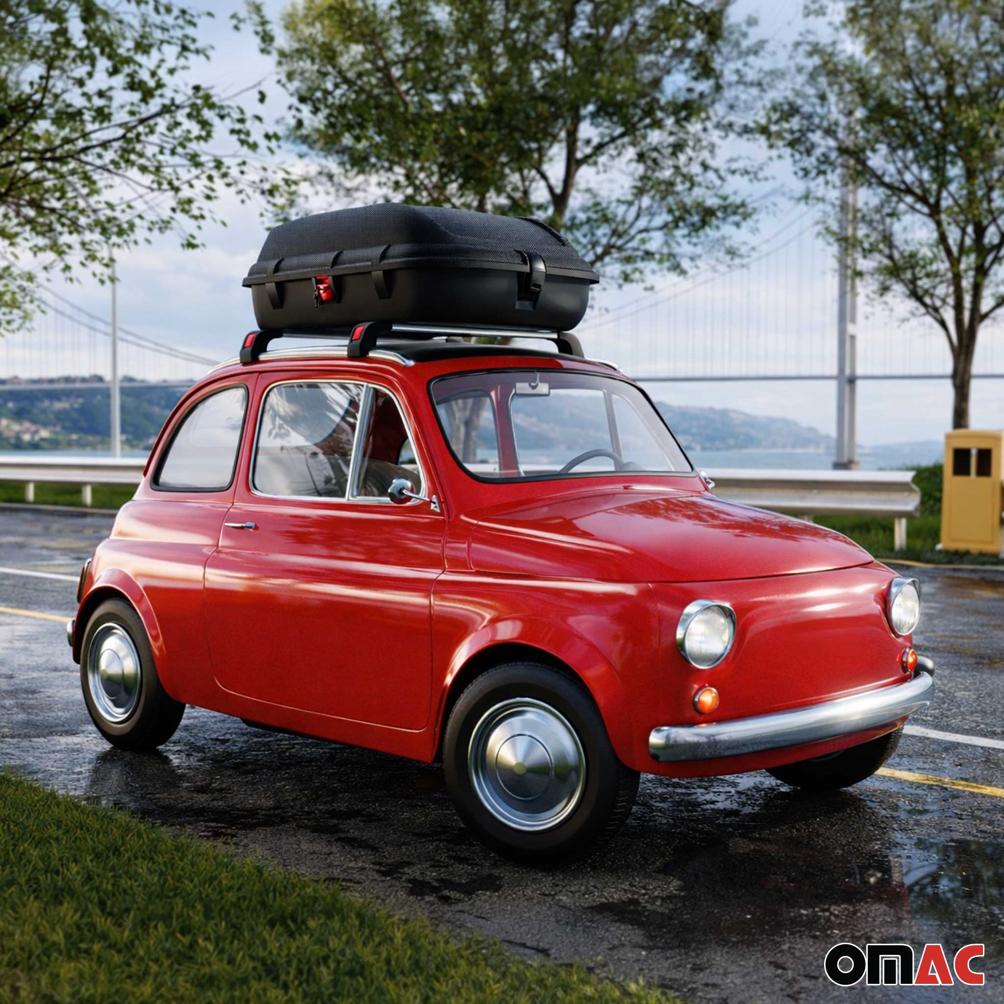 OMAC Car Rooftop Cargo Box Luggage Carrier 9.5 Cubic Feet Carbon Fiber Textured