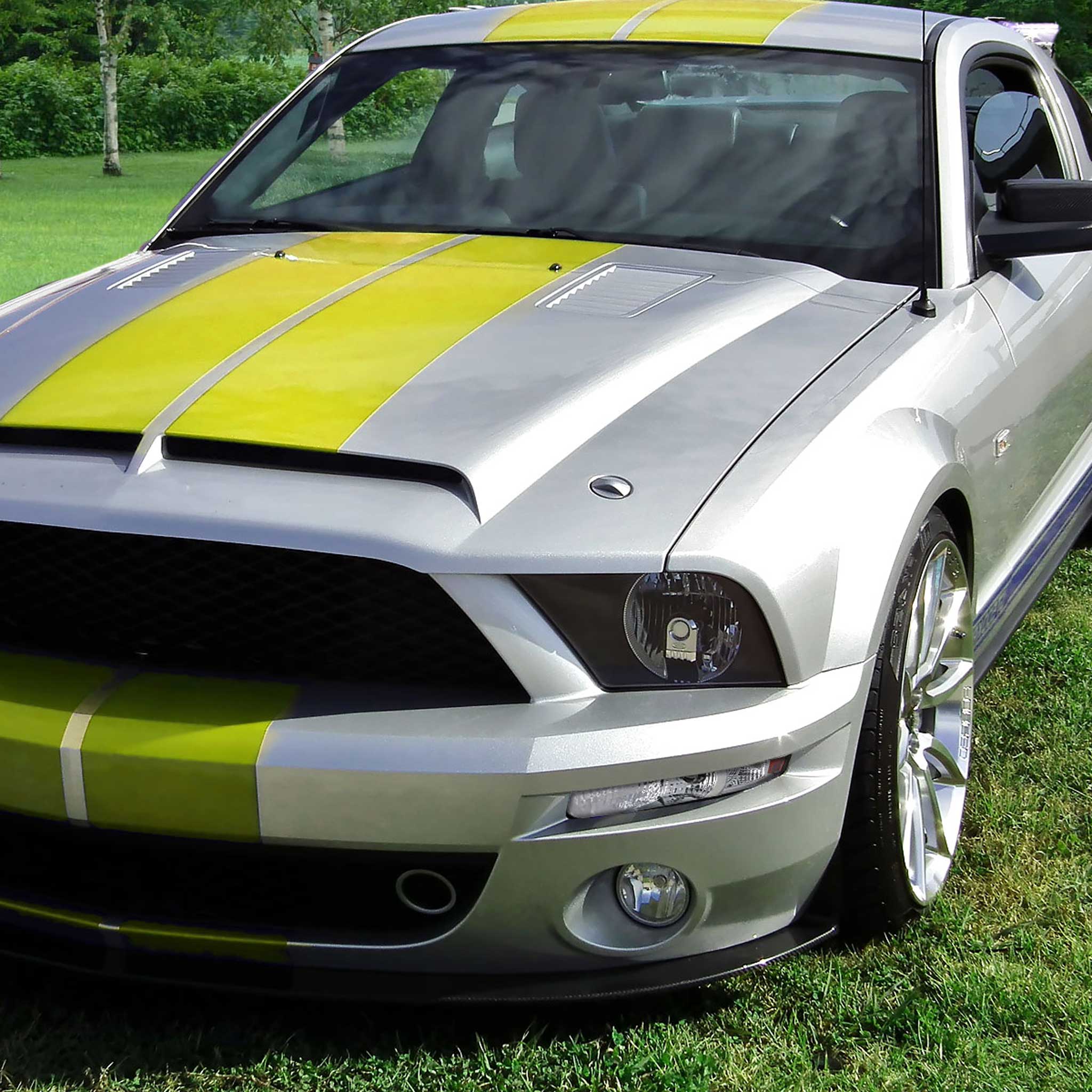 For Ford Mustang 2005-2009 Turn Signal Parking Lamp Chrome Housing Clear Lens