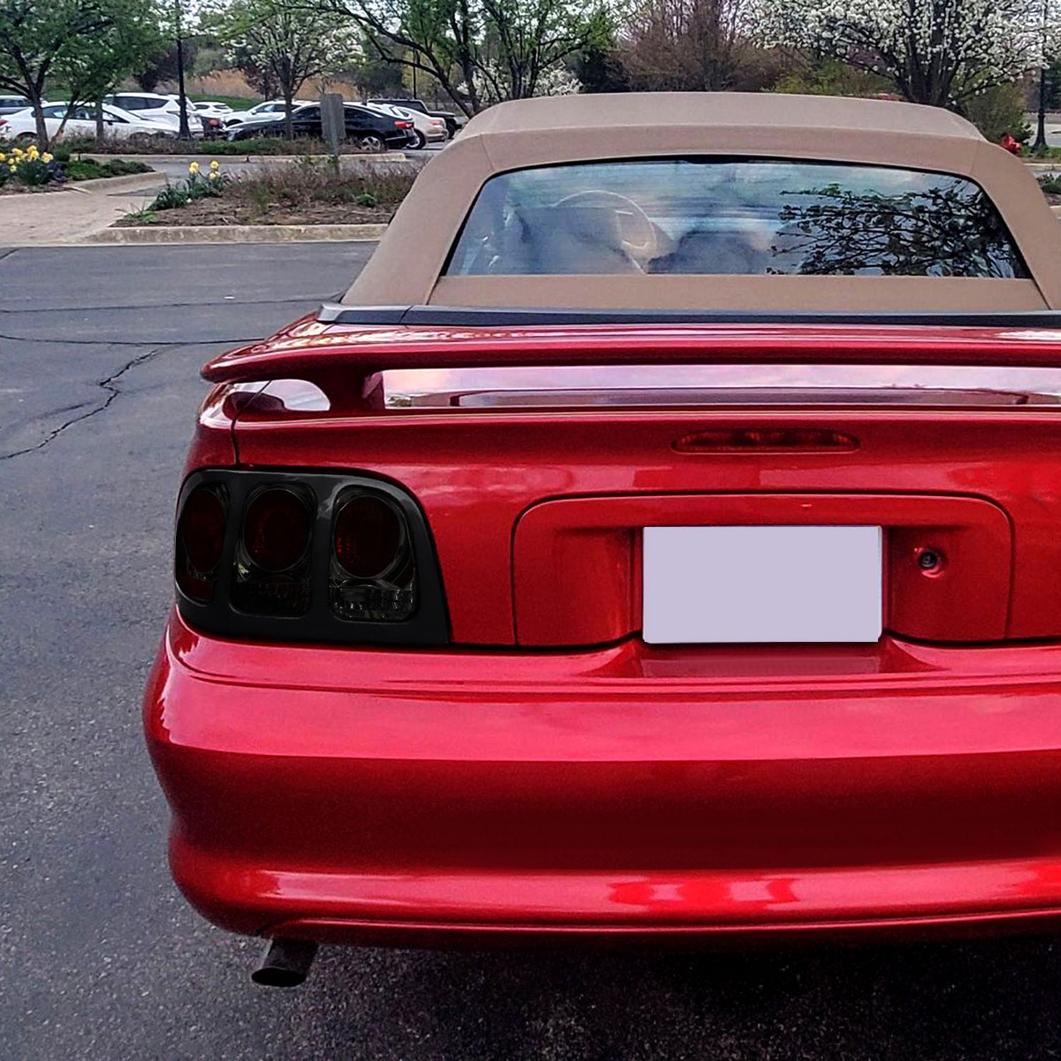 1994-1998 Ford Mustang Tail Lights Chrome Housing/Smoke Lens