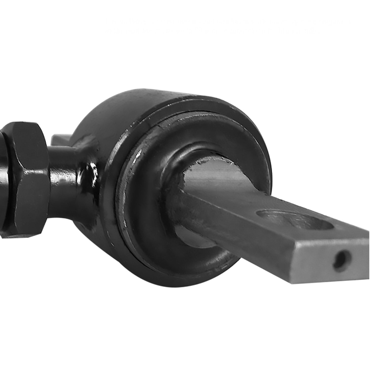 2001-2006 Honda Civic/ Acura RSX Black Rear Camber Arms