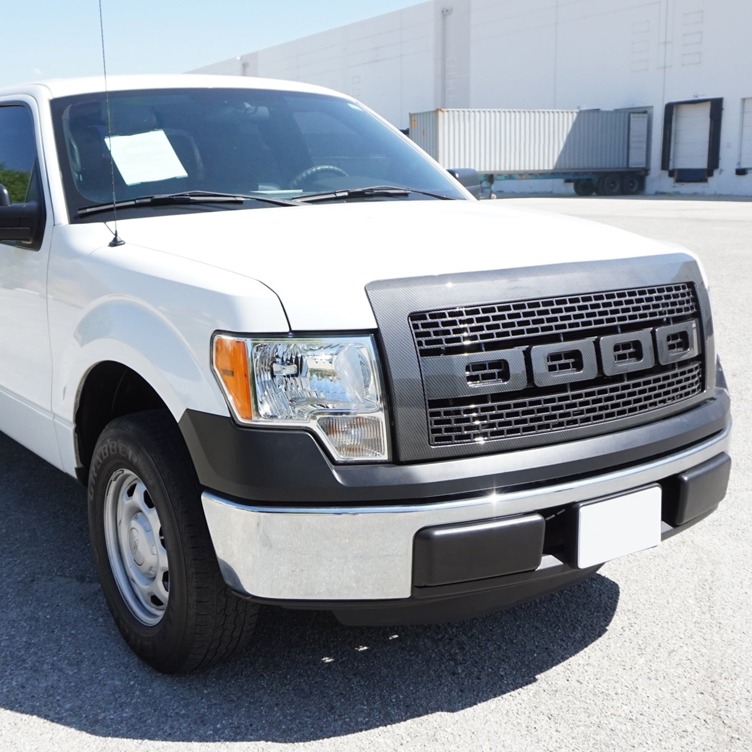 2009-2014 Ford F-150 Raptor Style Carbon Fiber Look ABS Grille