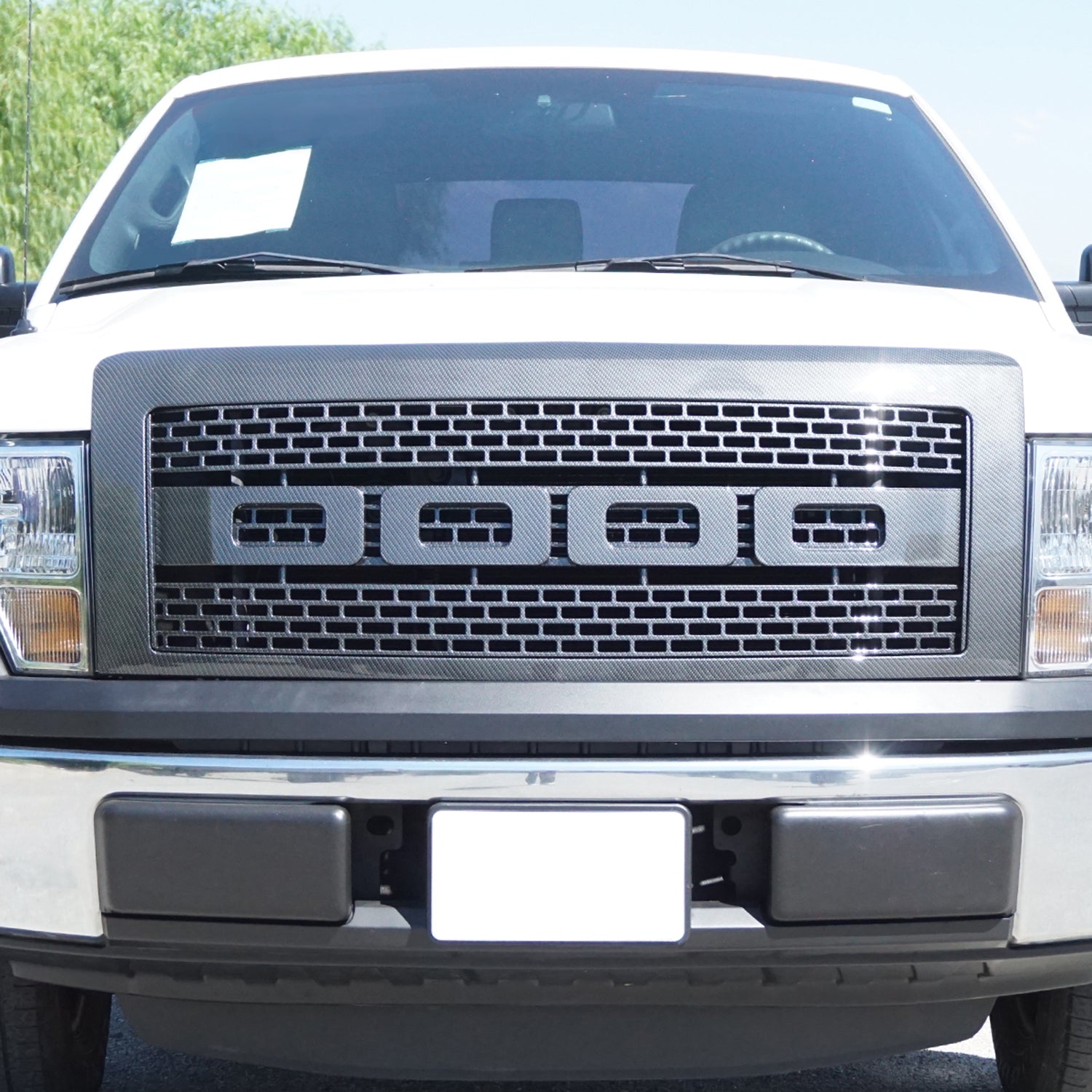 2009-2014 Ford F-150 Raptor Style Carbon Fiber Look ABS Grille