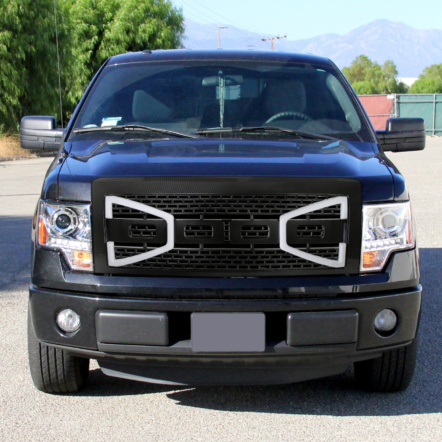 2009-2014 Ford F-150 Carbon Fiber Look Raptor Mesh Grille w/LED Light Bar