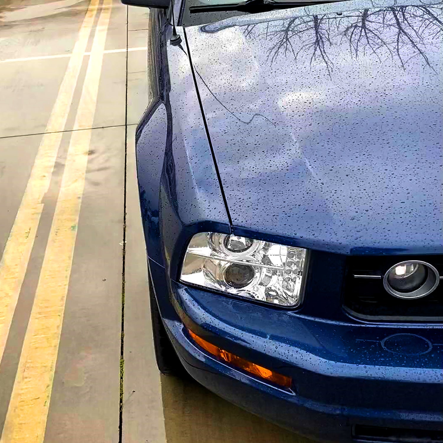 2005-2009 Ford Mustang Halo Projector Headlights LED Light Strip Chrome/Clear