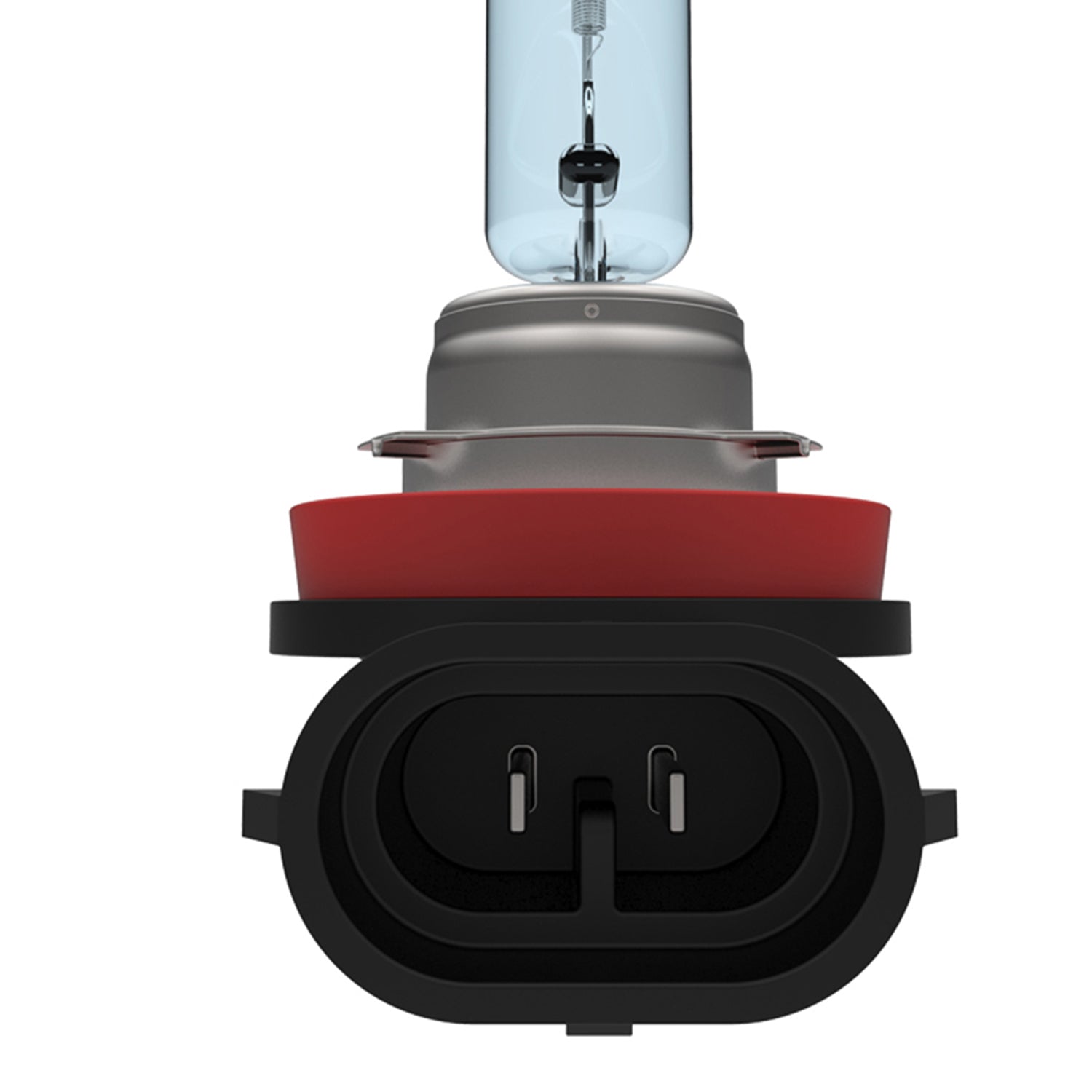 H11 Halogen Light Bulbs