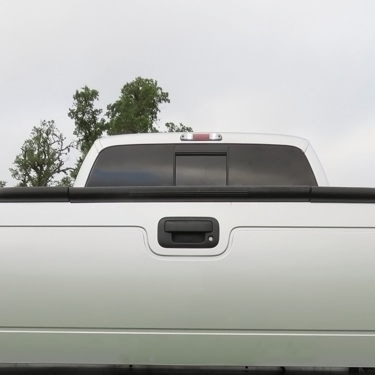 2011-2016 Ford F-250/350/450/550 SuperDuty Black ABS OE Tailgate Cap Cover