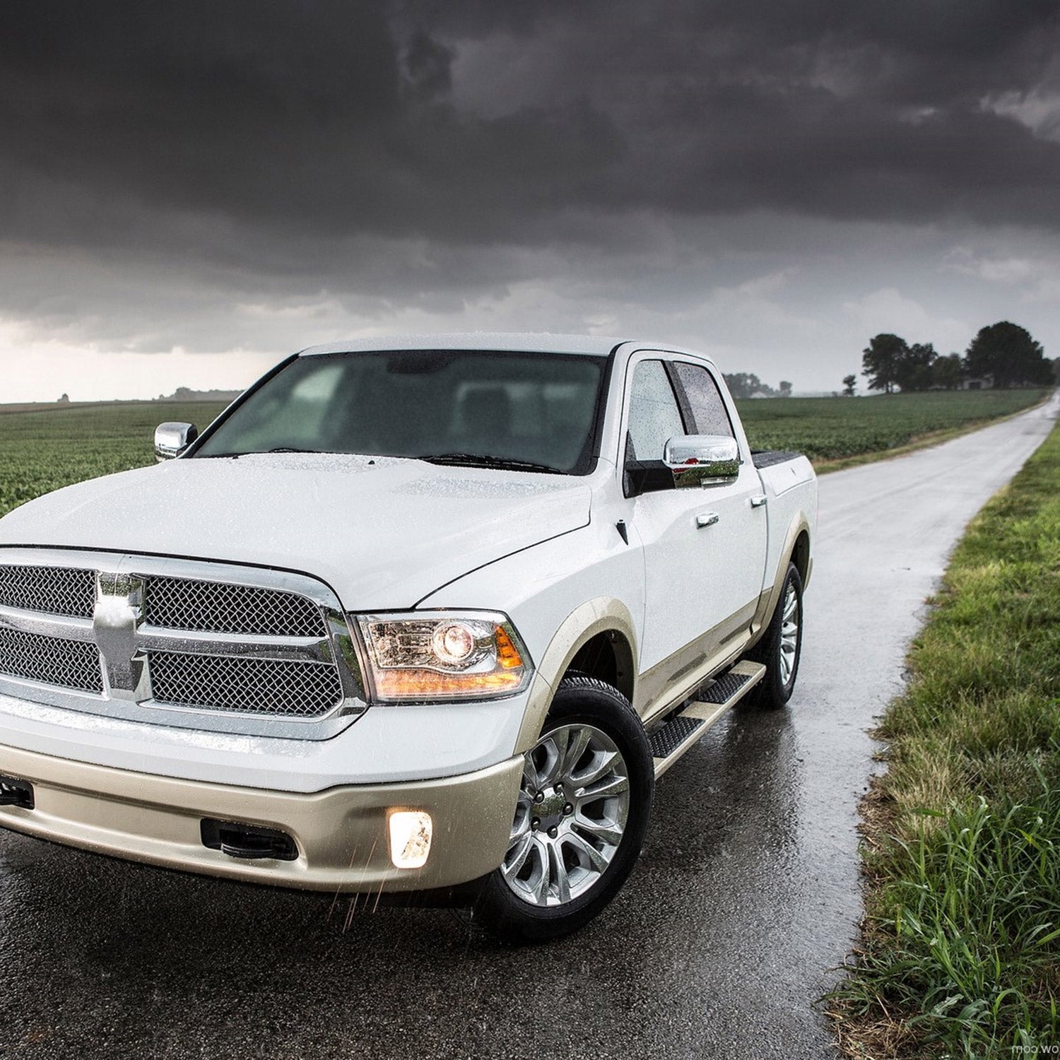 2013-2019 Dodge RAM Chrome Heated Side Mirror Turn Signal &Puddle Light Driver