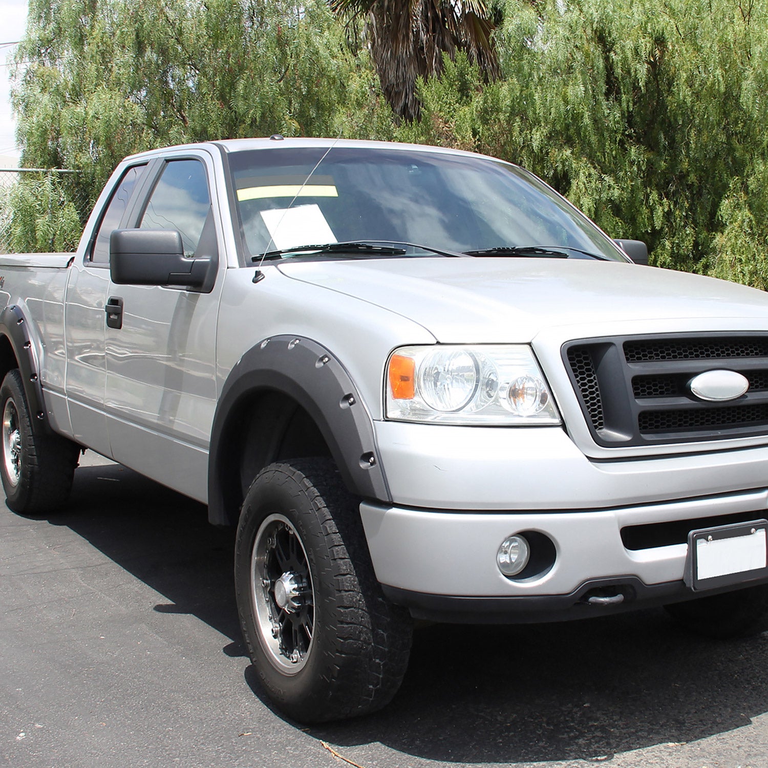 2004-2006 Ford F-150 Black Manual Adjustable Side Mirror - Passenger Side Only