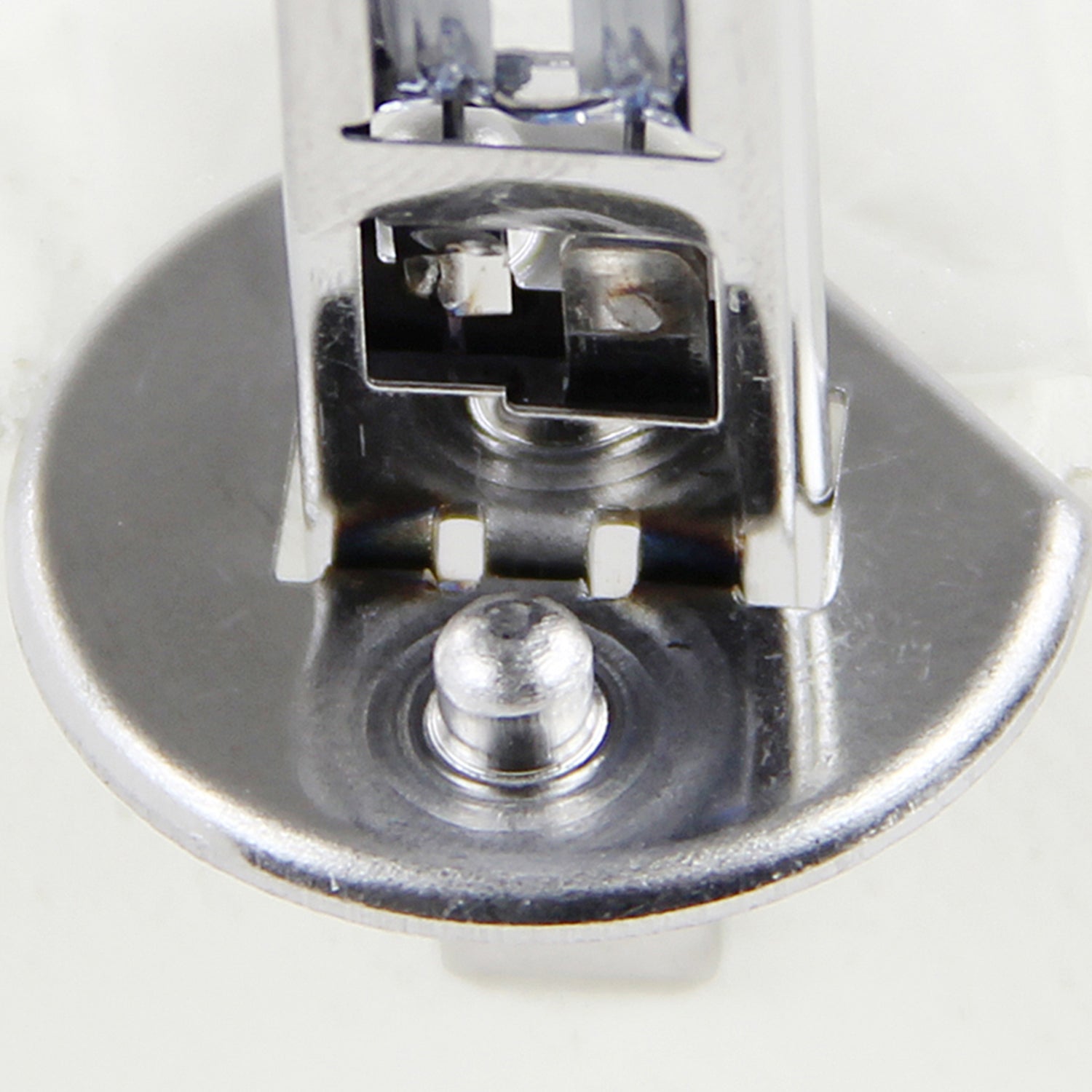 H1 Halogen Light Bulbs