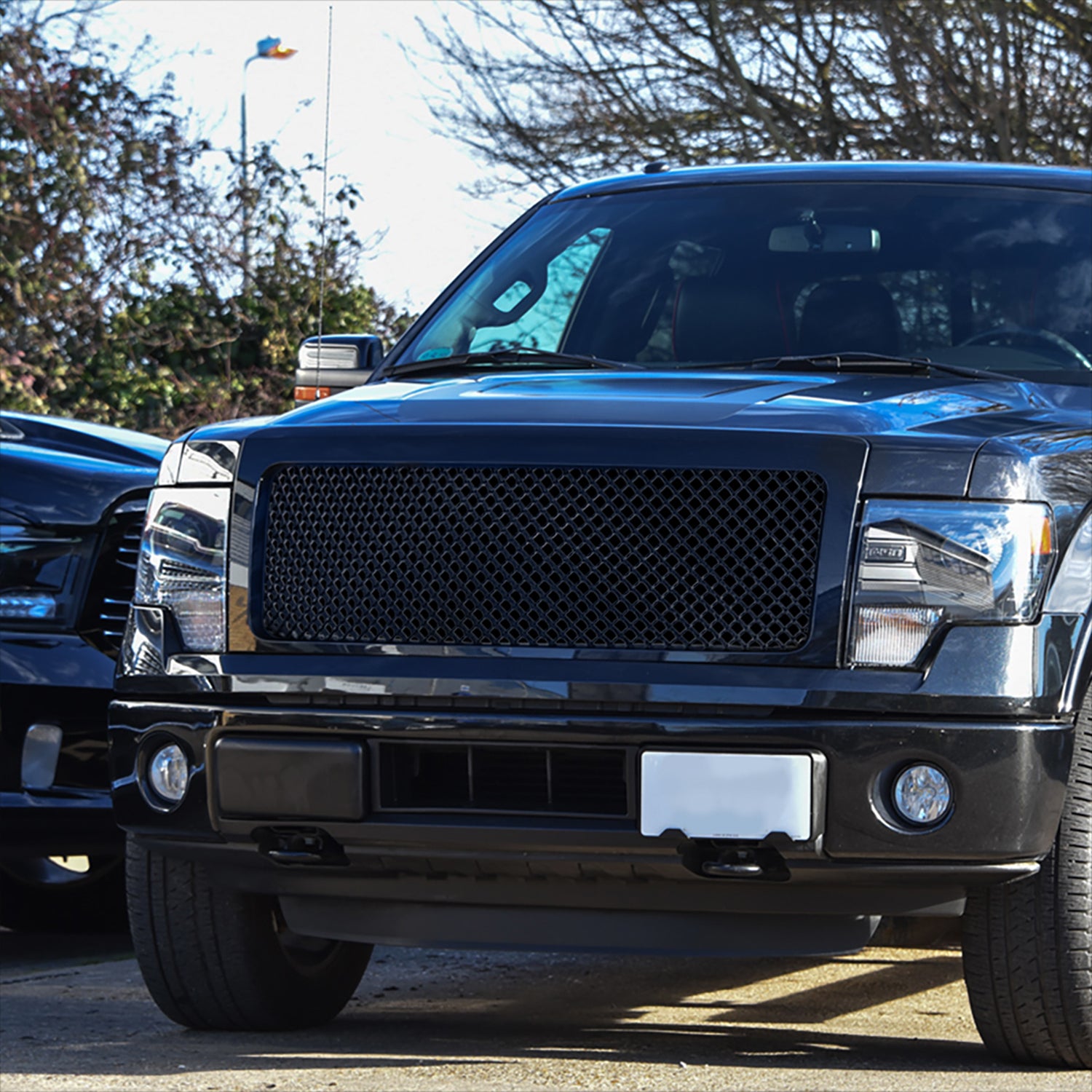 2009-2014 Ford F-150 Glossy Black ABS Mesh Grille