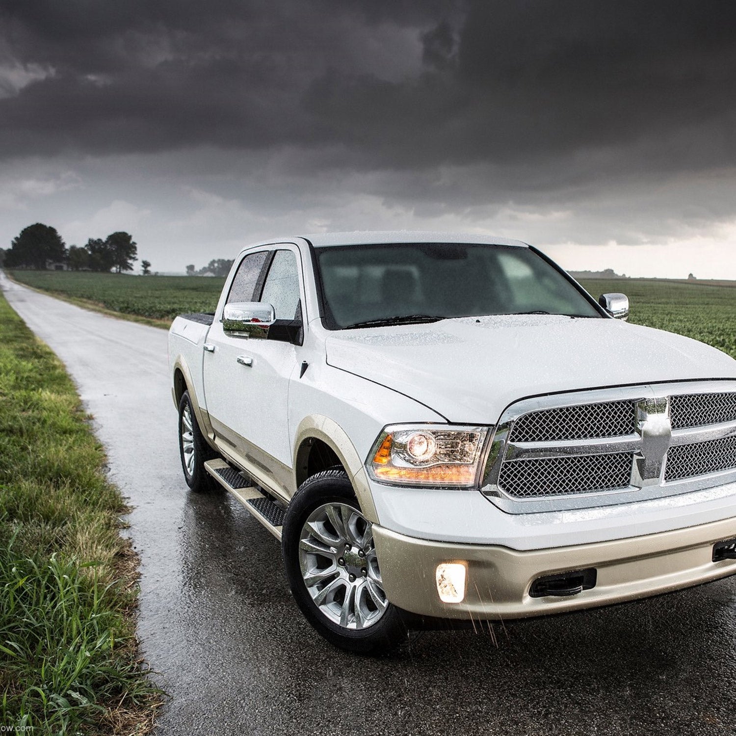2013-2019 Dodge RAM Chrome Heated Side Mirror Turn Signal Passenger Side