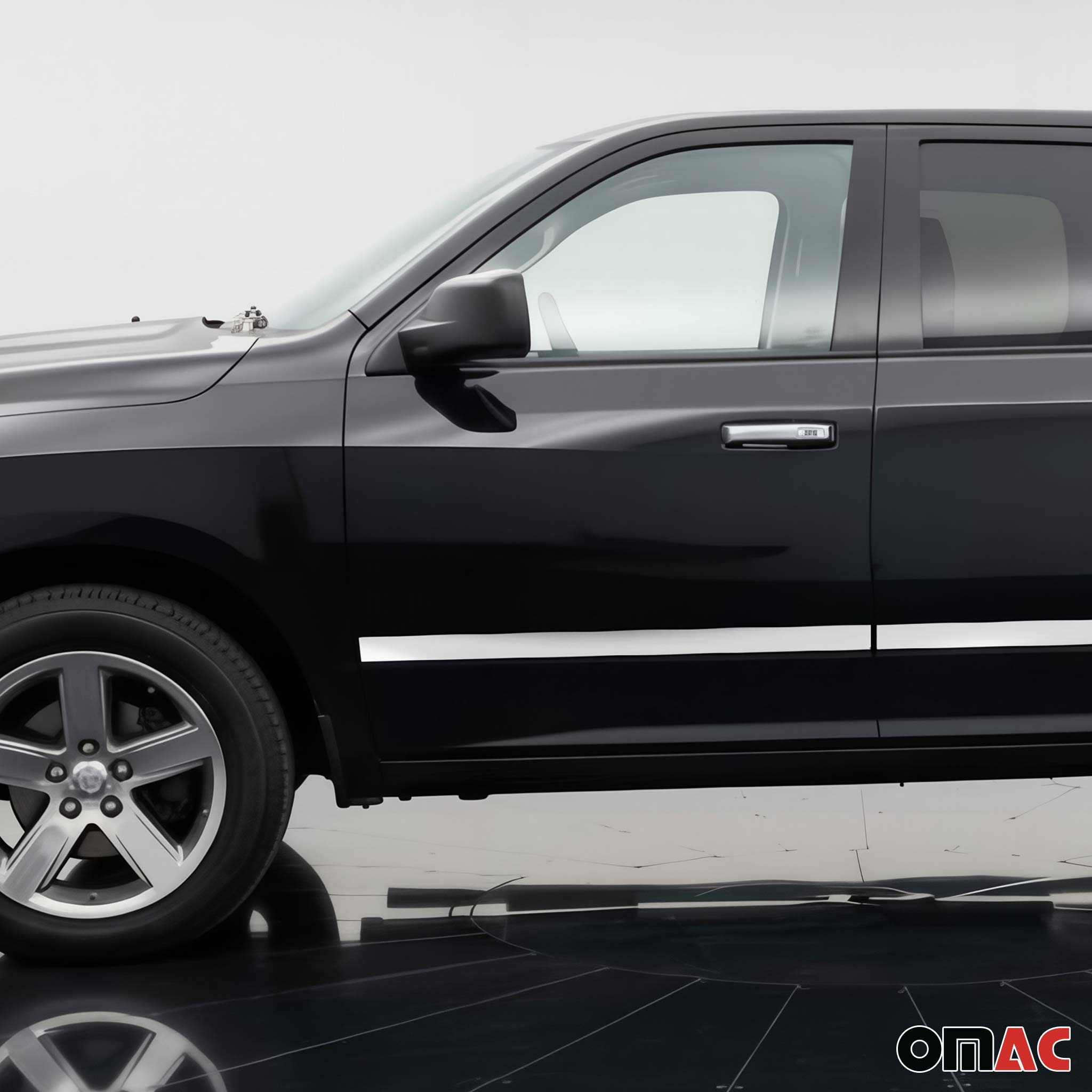 2012-2018 RAM 1500 Crew Cab Side Door Molding Trim Stainless Steel