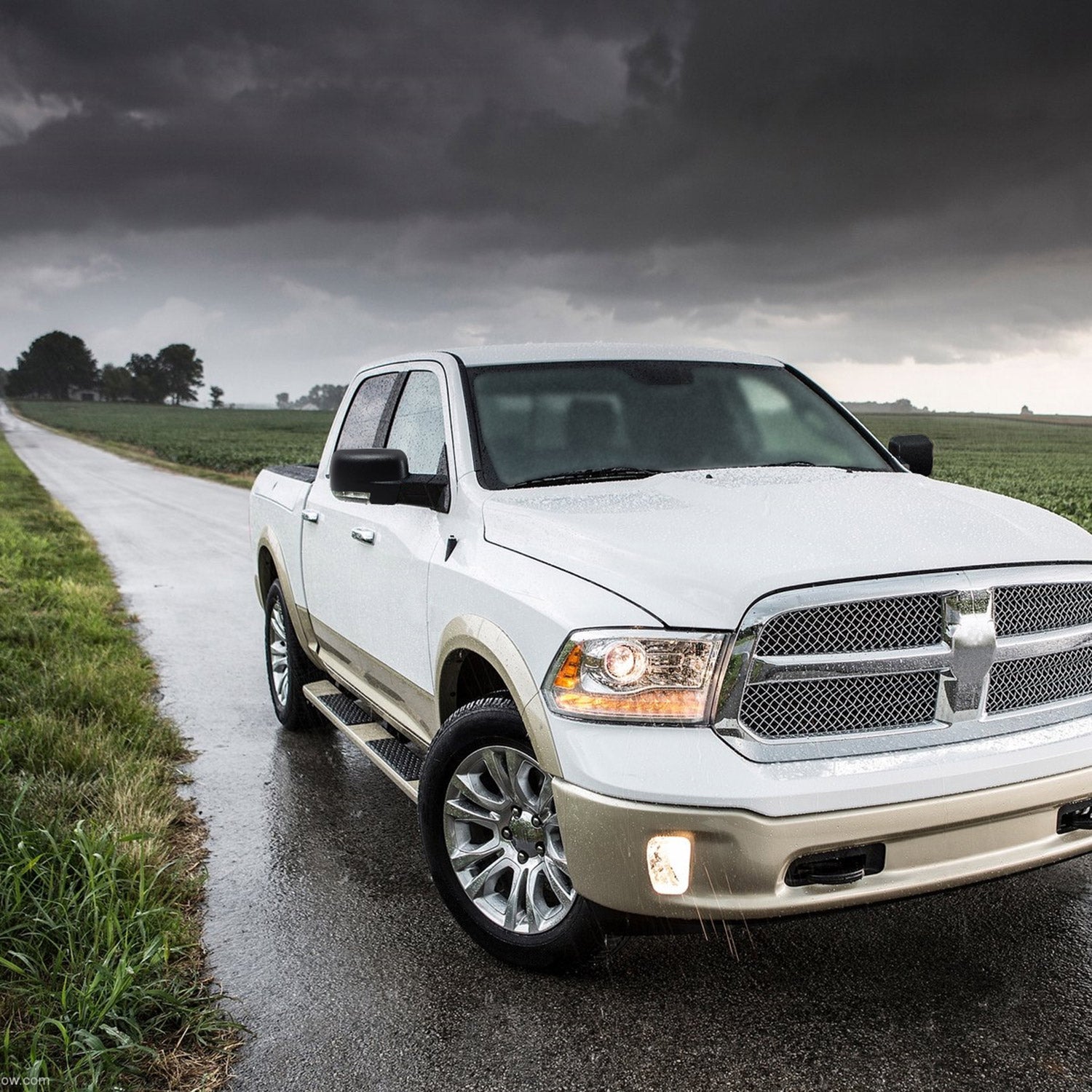 2013-2019 Dodge RAM Black Heated Side Mirror Turn & Puddle Light Passenger