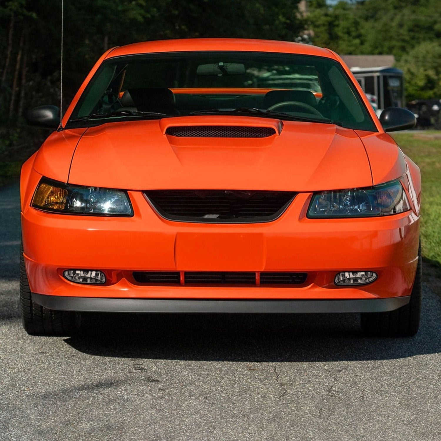 1999-2004 Ford Mustang 899 Fog Lights Kit Switch & Wiring Harness Chrome/Clear