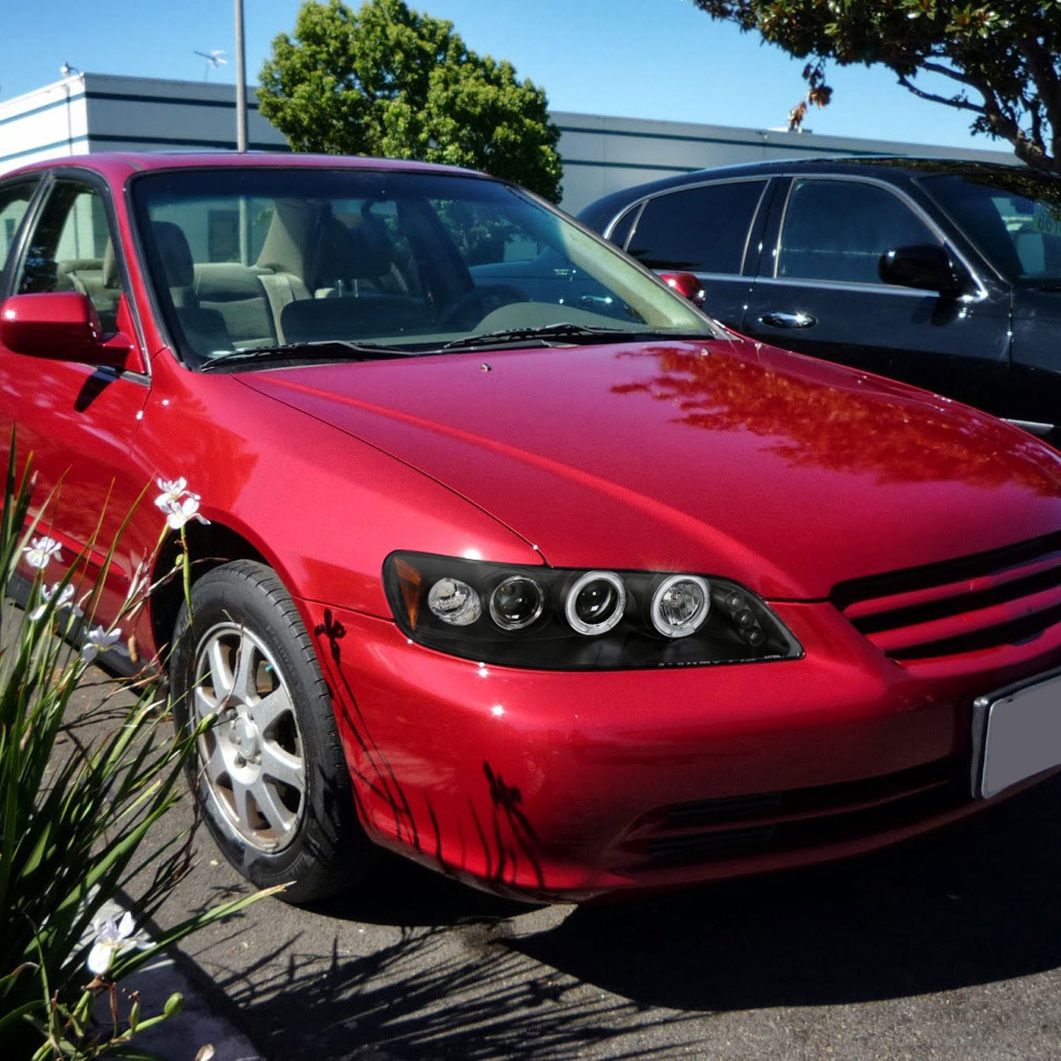 1998-2002 Honda Accord Dual Halo Projector Headlights Matte Black/Clear Lens