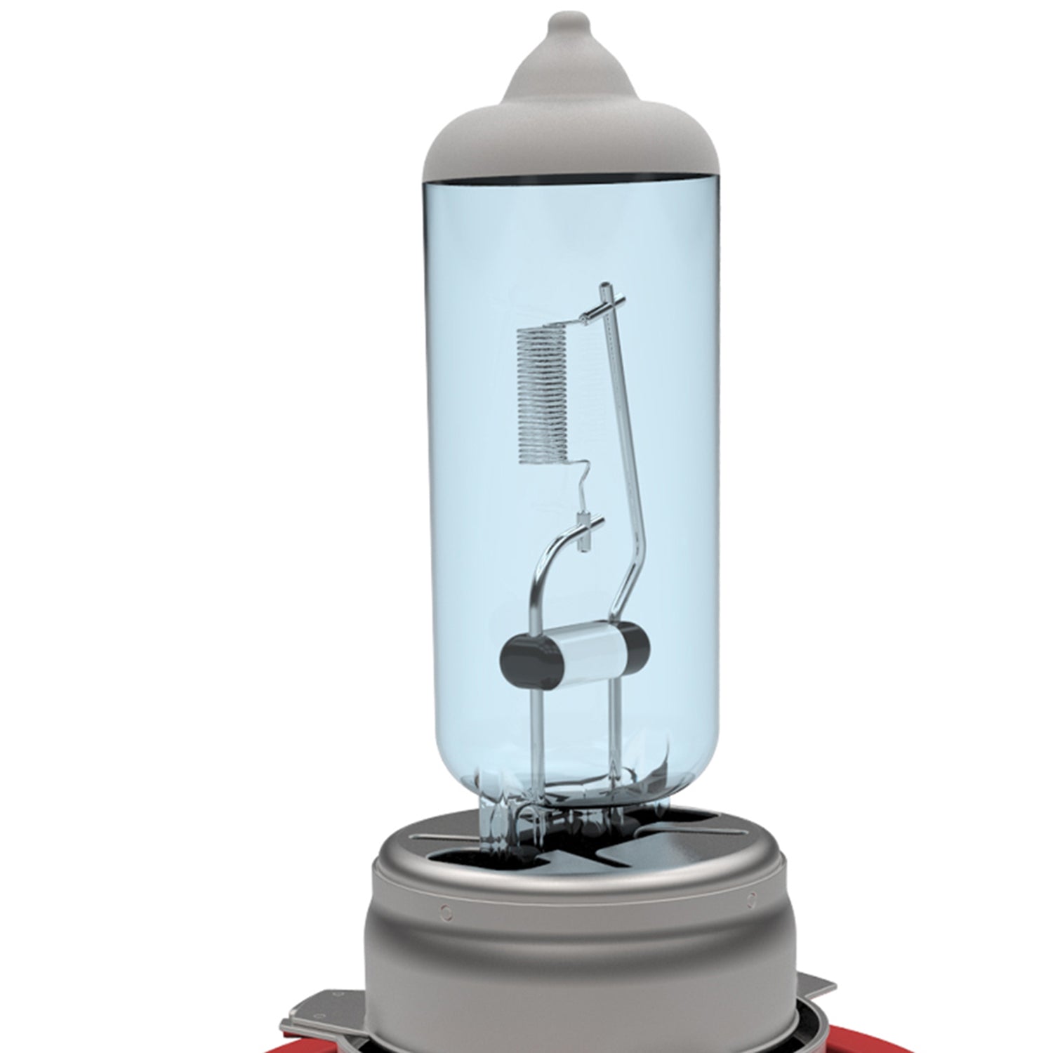 H11 Halogen Light Bulbs